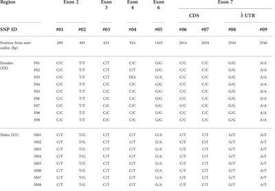 Y-specific amh allele, amhy, is the master sex-determining gene in Japanese flounder Paralichthys olivaceus